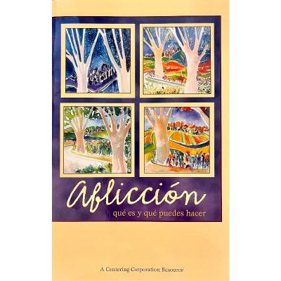 Afliccion que es y que puedes hacer / Grief (Spanish Edition)